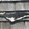 Humpback Whale Carved In Pine X Inch Cape Cod Wood Carving Hand Carved House Number