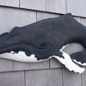 whale-humpback-july2018